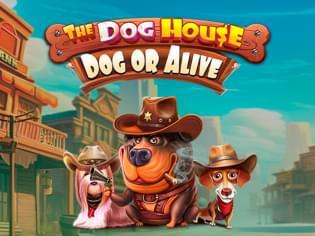The Dog House Dog or Alive